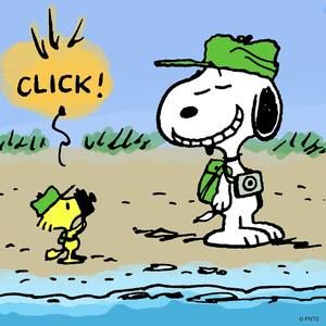 Meet your Posher, Aaron